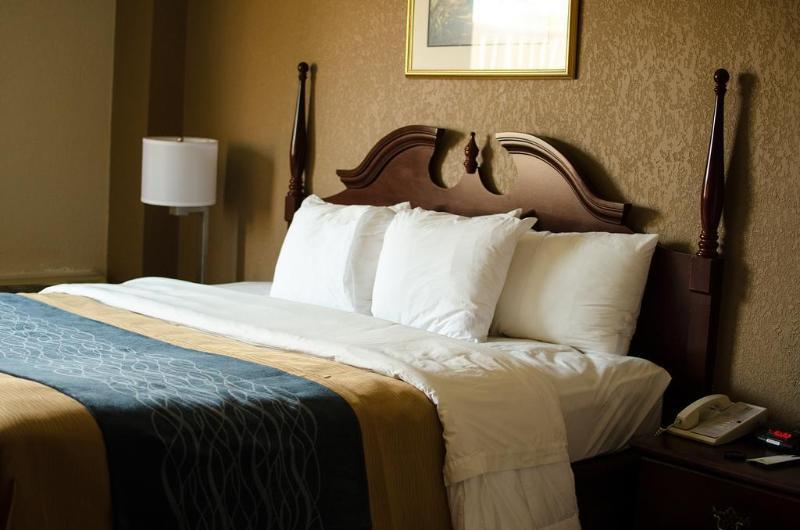 Comfort Inn Atlanta Downtown South Exterior foto